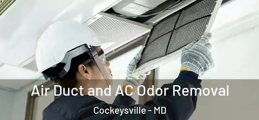  Air Duct and AC Odor Removal Cockeysville - MD