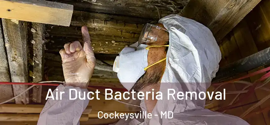 Air Duct Bacteria Removal Cockeysville - MD