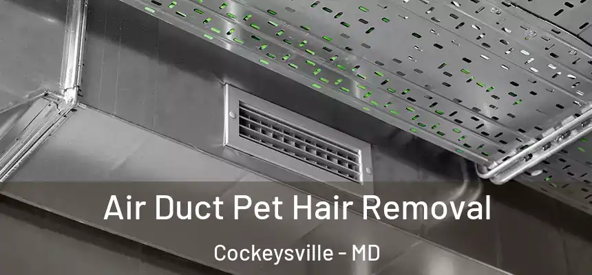 Air Duct Pet Hair Removal Cockeysville - MD