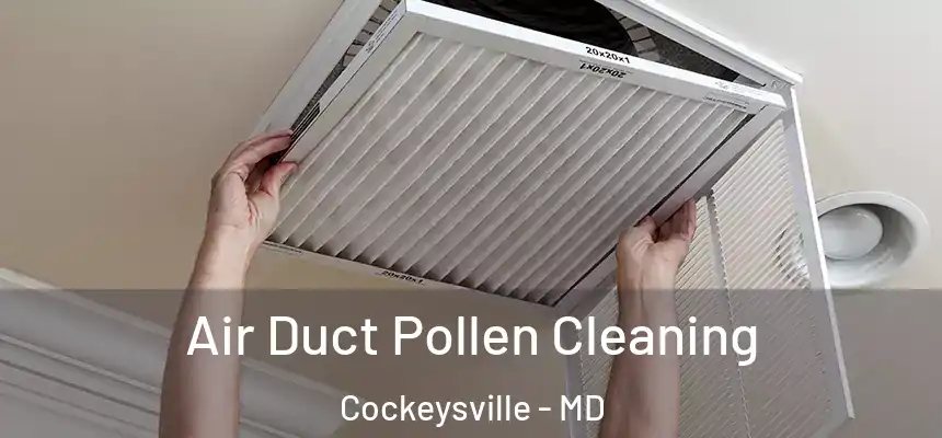 Air Duct Pollen Cleaning Cockeysville - MD
