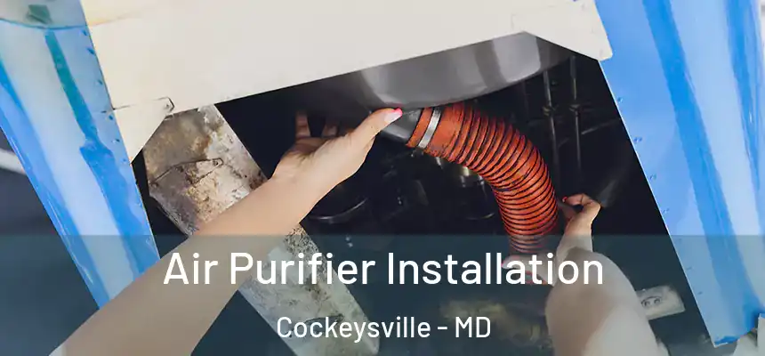  Air Purifier Installation Cockeysville - MD