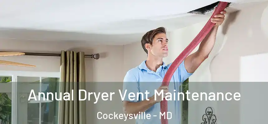  Annual Dryer Vent Maintenance Cockeysville - MD