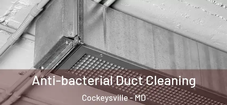 Anti-bacterial Duct Cleaning Cockeysville - MD