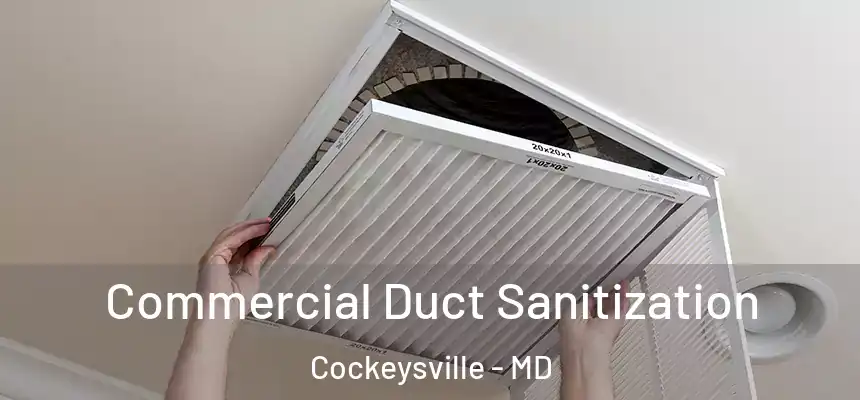 Commercial Duct Sanitization Cockeysville - MD