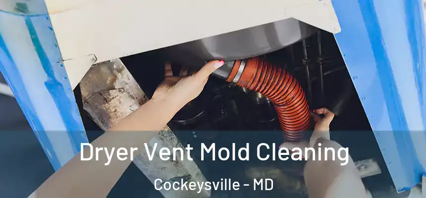 Dryer Vent Mold Cleaning Cockeysville - MD