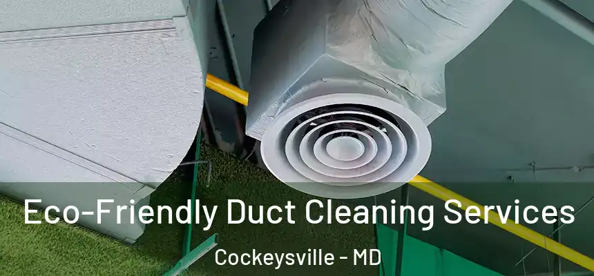 Eco-Friendly Duct Cleaning Services Cockeysville - MD