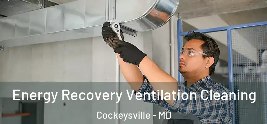 Energy Recovery Ventilation Cleaning Cockeysville - MD
