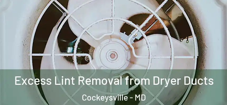  Excess Lint Removal from Dryer Ducts Cockeysville - MD