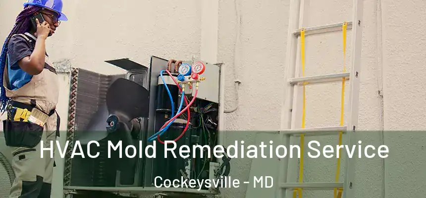 HVAC Mold Remediation Service Cockeysville - MD