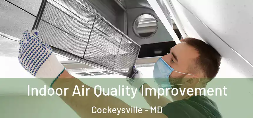 Indoor Air Quality Improvement Cockeysville - MD