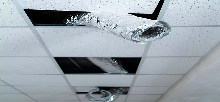 Our Air Duct Pet Hair Removal Services in Cockeysville, MD