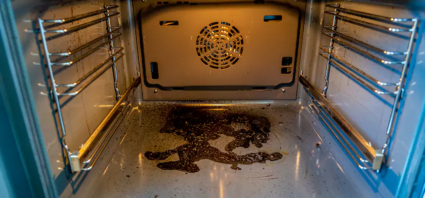 Our Dryer Vent Mold Cleaning Services in Cockeysville, MD