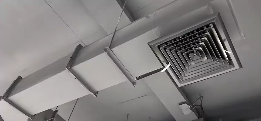 Our Pest Removal From Ducts Services in Cockeysville, MD