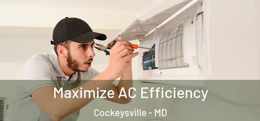 Maximize AC Efficiency Cockeysville - MD