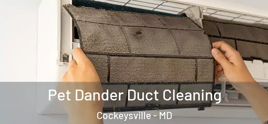 Pet Dander Duct Cleaning Cockeysville - MD
