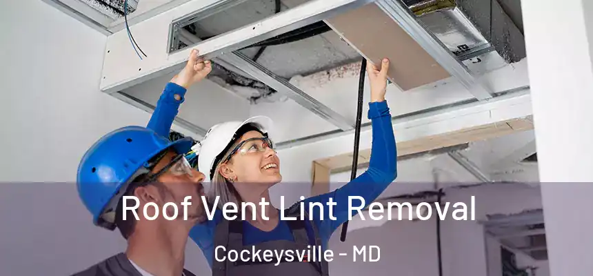 Roof Vent Lint Removal Cockeysville - MD