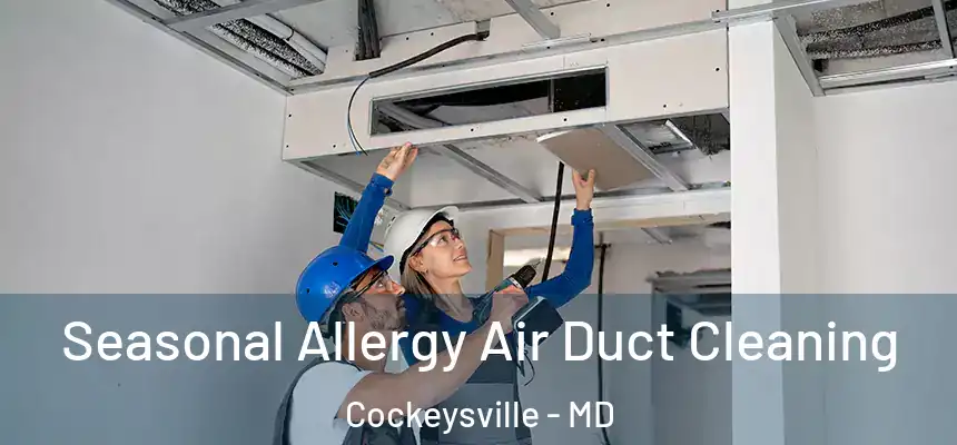 Seasonal Allergy Air Duct Cleaning Cockeysville - MD