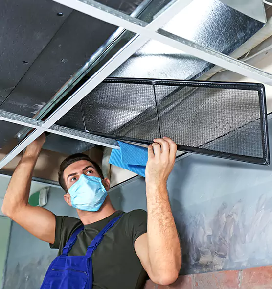 About Air Duct Bacteria Removal in Cockeysville