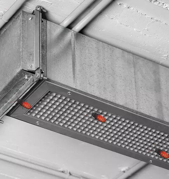 About Air Duct Cockroach Removal in Cockeysville, MD
