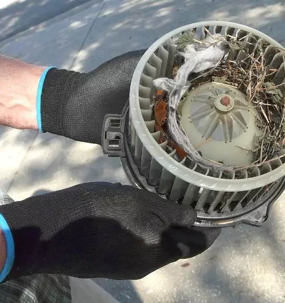 About Air Duct Mice Removal in Cockeysville, MD