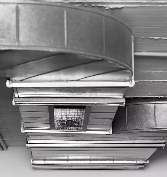 Professional Air Duct Pest Removal in Cockeysville, MD