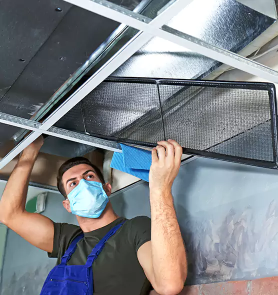 Professional Air Duct Pollen Cleaning in Cockeysville, MD
