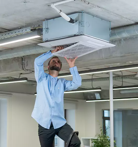 Advanced Rodent Droppings In Vents in Cockeysville, MD