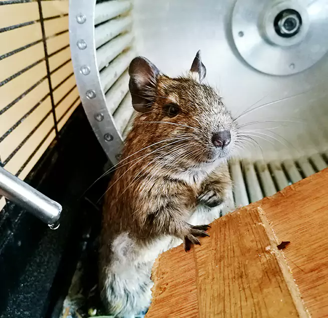 Why Homeowners & Businesses Trust Us Cockeysville, MD?