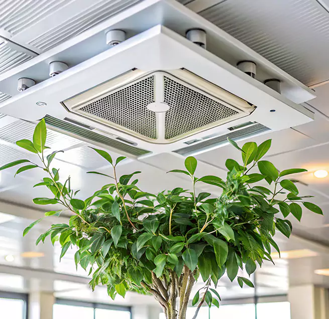 Why Homeowners & Businesses Trust Us in Cockeysville, MD