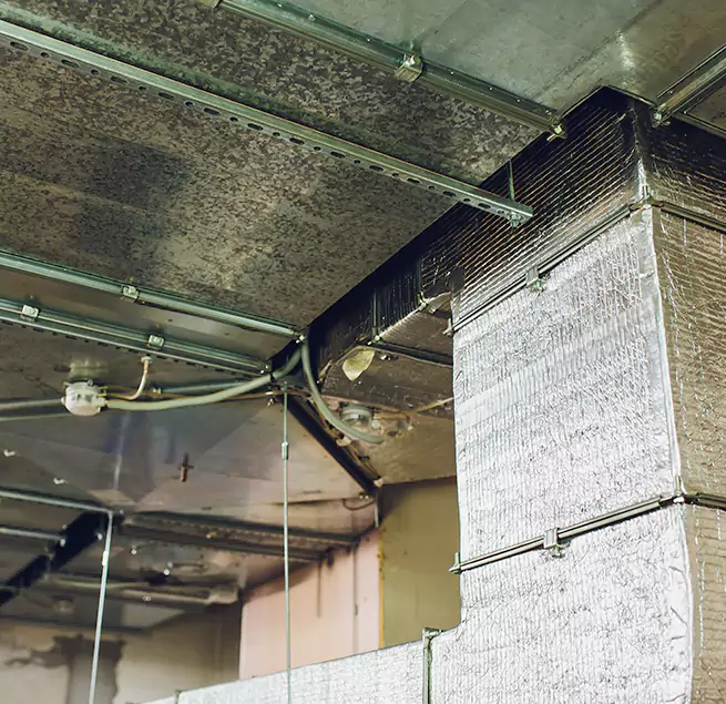 Why Homeowners & Businesses Trust Us in Cockeysville, MD?