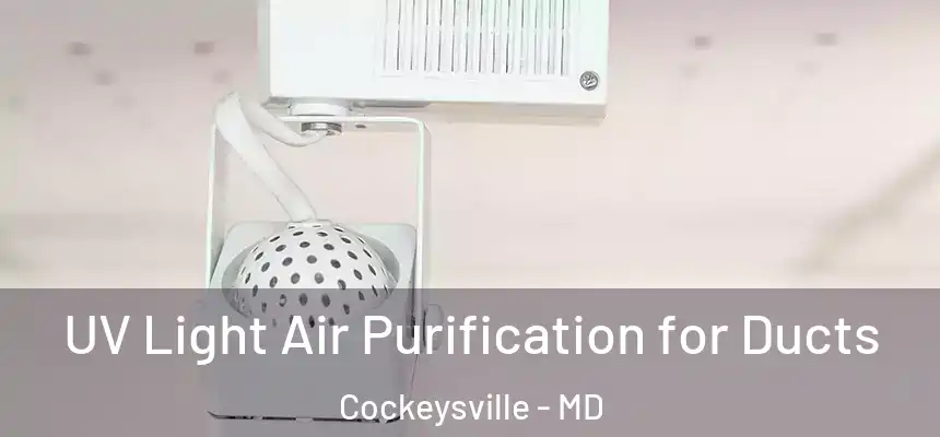  UV Light Air Purification for Ducts Cockeysville - MD