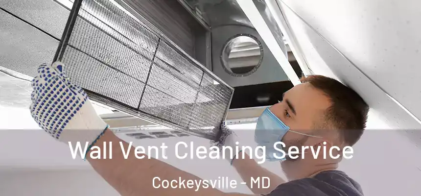 Wall Vent Cleaning Service Cockeysville - MD